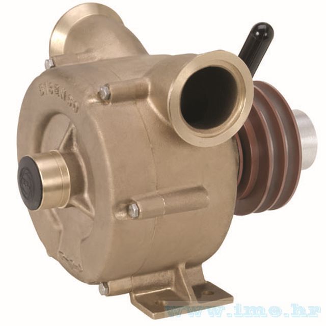 Pompe a trascinamento